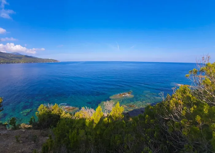 Residenza Le Tartarughe 公寓